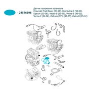  миниатюра 4