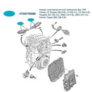  миниатюра 4